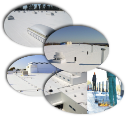 C & C Construction Services Inc dba C & C Roofing Images