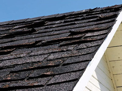 C & C Construction Services Inc dba C & C Roofing Images