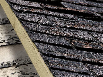  C & C Construction Services Inc dba C & C Roofing Images