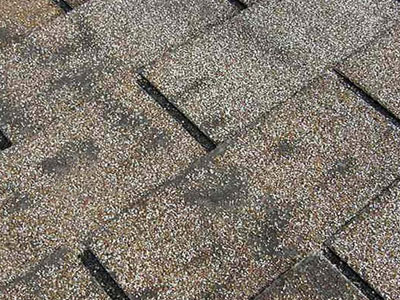  C & C Construction Services Inc dba C & C Roofing Images